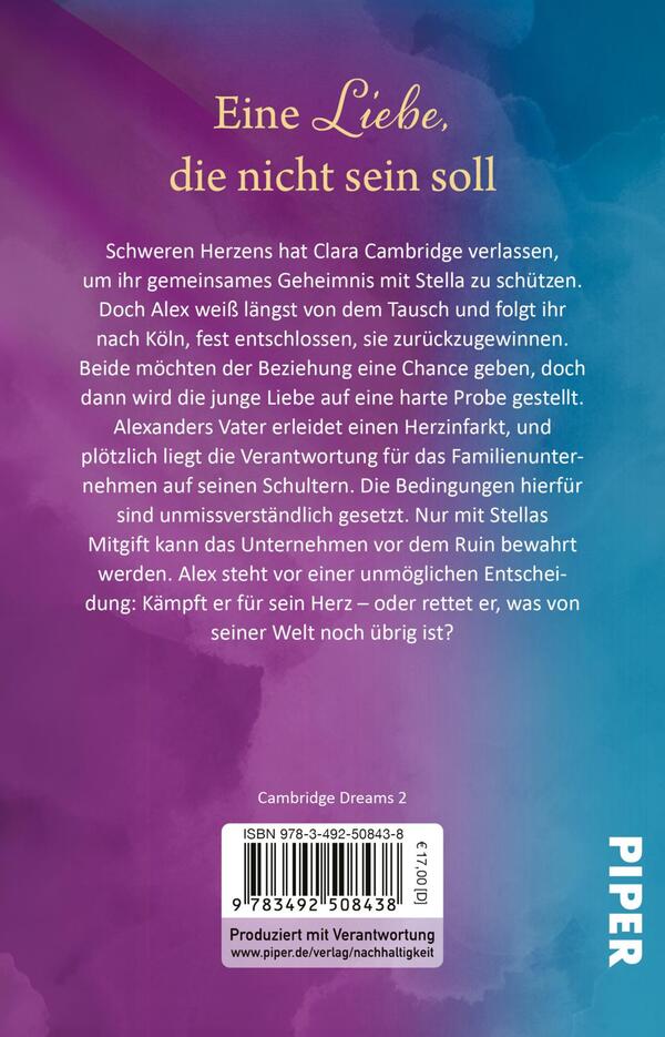 Rückansicht des Buches „This stupid Thing called Trust“