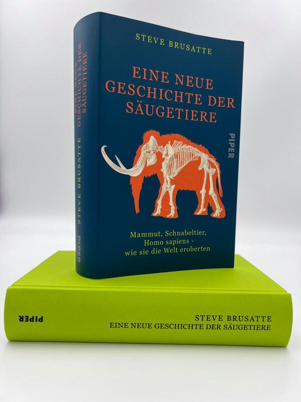 Innenansicht des Buches „Eine neue Geschichte der Säugetiere“
