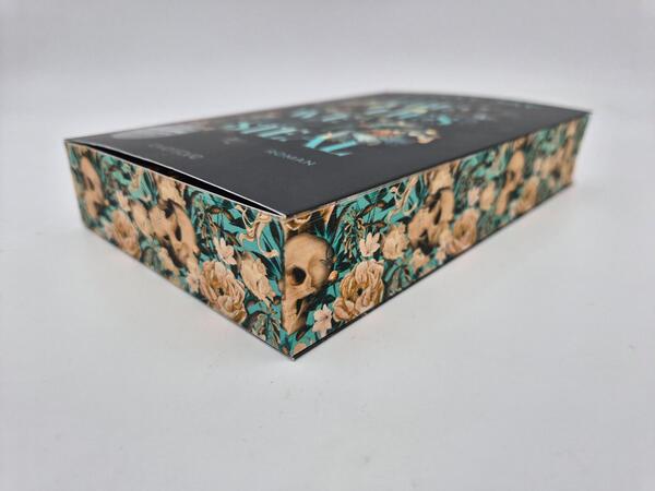 Außenansicht des Buches „The Lies we steal“