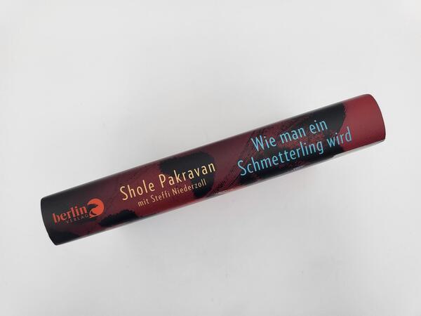 Innenansicht des Buches „Wie man ein Schmetterling wird“
