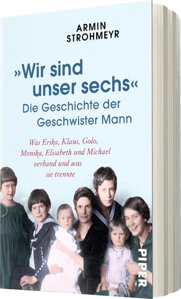 Das Buchcover zeigt eine sanfte, hellblaue Hintergrundfarbe. In der oberen Hälfte steht in großen, grauen Buchstaben der Titel „Wir sind unser sechs“. Darunter, in kleinerer Schrift, steht der Untertitel „Die Geschichte der Geschwister Mann“ in einem schlichten Blau. Am unteren Rand sind die Namen „Armin Strohmeyer“ und „PIPER“ abgebildet. Das Cover zeigt eine historische Fotografie von sechs Geschwistern, die in traditionellen Kleidern posieren, was eine nostalgische und familiäre Atmosphäre vermittelt.