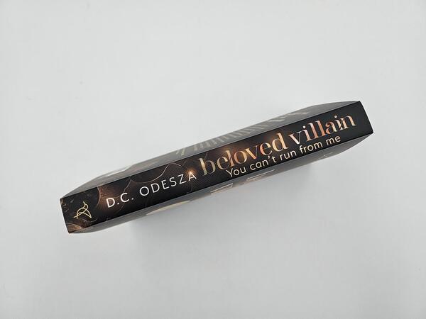 Außenansicht des Buches „Beloved Villain – You can't run from me (English Edition)“