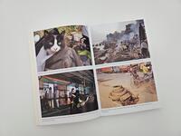 Außenansicht des Buches „Mit der Katze weiter um die Welt“