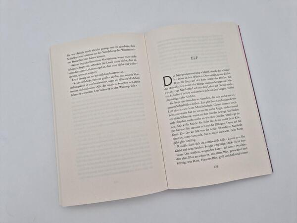 Außenansicht des Buches „Lady Macbeth“