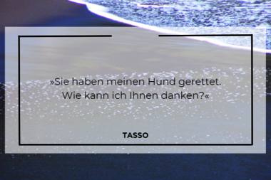 Zitat von Tasso aus Luise Holthausens „Das kleine Gestüt an der Nordsee“