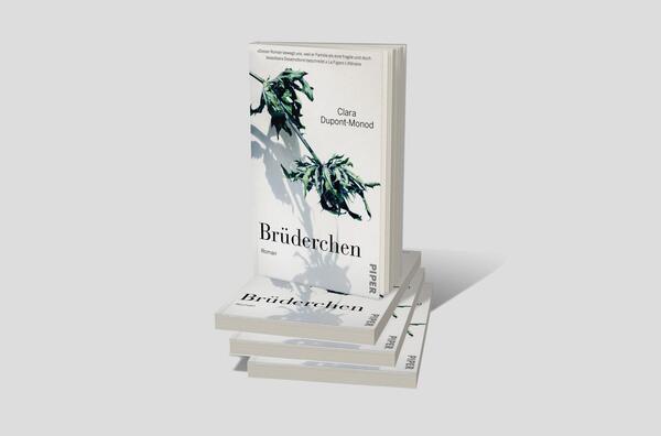 Bücherstapel des Buches „Brüderchen“