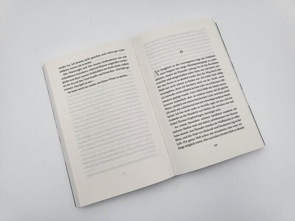 Innenansicht des Buches „Das Geheimnis der Gouvernante“