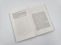 Innenansicht des Buches „Das Geheimnis der Gouvernante“