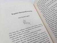Innenansicht des Buches „Mrs England“