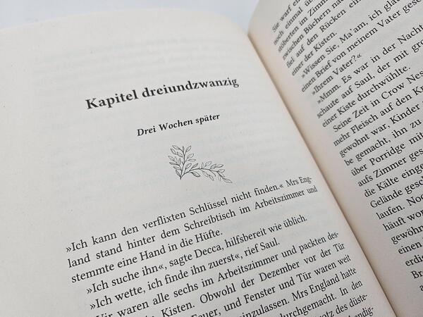 Innenansicht des Buches „Mrs England“