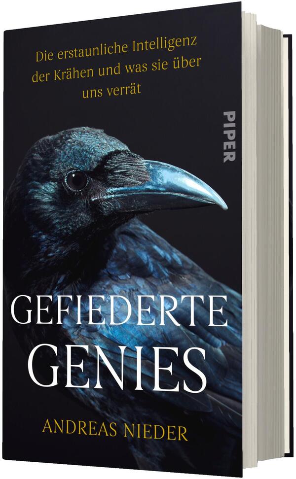 Das Buchcover zeigt vor dunkelblauem bis schwarzem Verlauf groß den Autorenname „ANDREAS NIEDER“ oben und den weißen Titel „WAS KRÄHEN WISSEN“ in großer Serifenschrift; darunter ein detailreiches, frontal abgebildetes, schwarzes Rabenporträt mit blau schimmerndem Gefieder. Unten goldgelber Untertitel „Die erstaunliche Intelligenz der Rabenvögel und was sie über uns verrät“. Auf dem Buchrücken vertikal gelber Verlagsname „PIPER“.