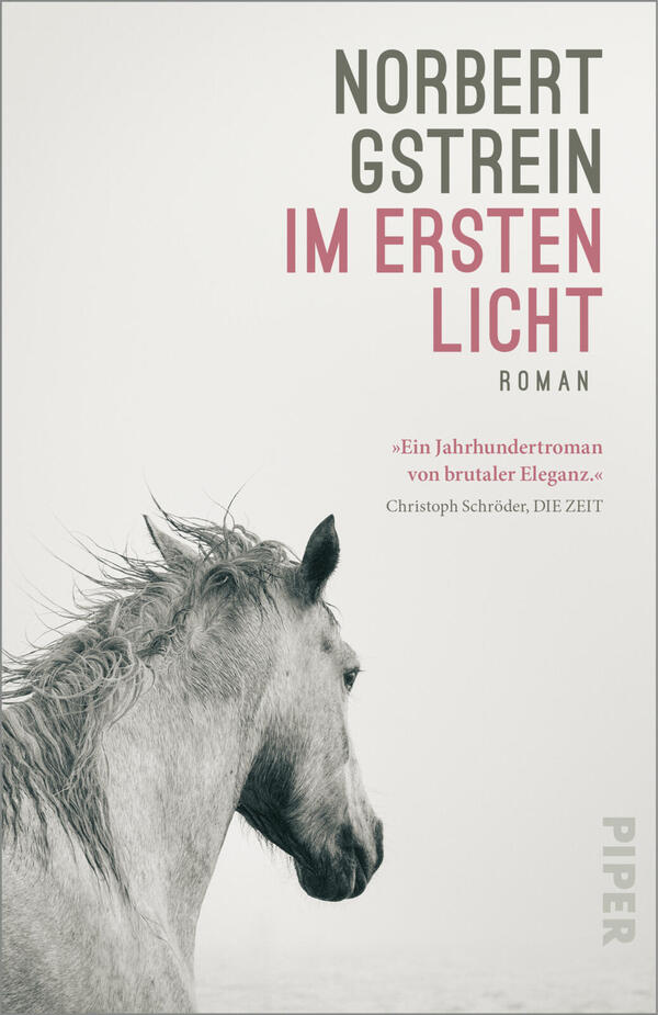 Das Buchcover zeigt links unten den gedrehten Kopf eines hellen Pferdes in feiner, graustufiger Fotografie; der Hintergrund ist hell, fast weiß. Rechts oben in großen Großbuchstaben der Autorname „NORBERT GSTREIN“ in dunklem Grau, darunter in kräftigem Rostrot „IM ERSTEN LICHT“ und klein „ROMAN“. Untertitelzitat in Rot und Grau. Kein Verlagslogo beschreiben.