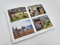 Innenansicht des Buches „Sonne, Meer und lange Ohren“