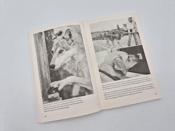 Außenansicht des Buches „Warum Hunde uns zu besseren Menschen machen“