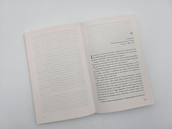Außenansicht des Buches „Der Maler und das reine Blau des Himmels“