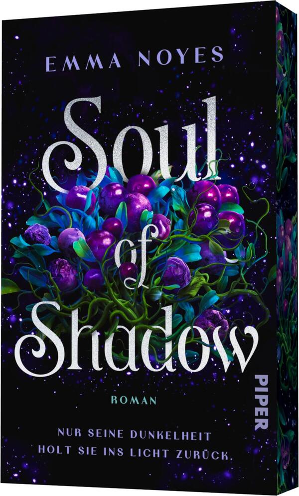 Außenansicht des Buches „Soul of Shadow“