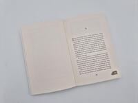 Außenansicht des Buches „101 Schlawiner“