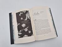 Außenansicht des Buches „Enigma – Wahrheit, Begehren, Dunkelheit“