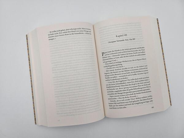 Außenansicht des Buches „König der Turniere“