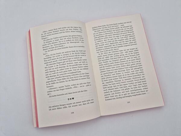 Außenansicht des Buches „Rush In“