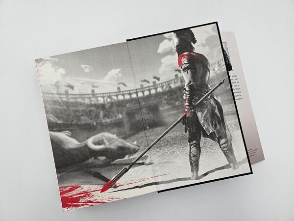 Außenansicht des Buches „Bloodguard“