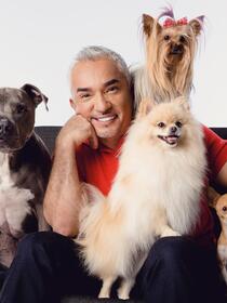 Cesar Millan