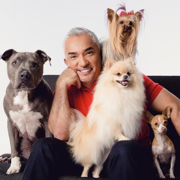 Foto von Cesar Millan