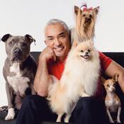 Cesar Millan