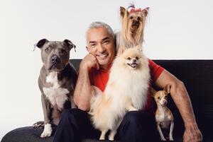 Cesar Millan