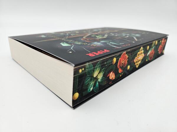 Außenansicht des Buches „Crimson Sky – Die Seelenjägerin“