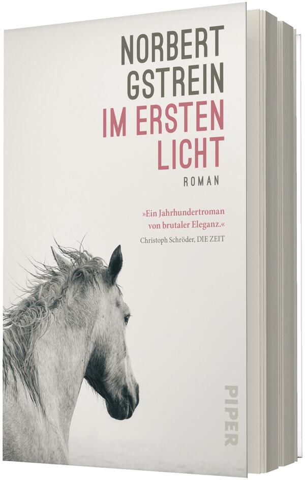 Das Buchcover zeigt auf hellem, fast weißem Grund den linken Profilkopf eines hellen Pferdes mit wehender Mähne, nach unten blickend. Oben rechts große serifenlose Autorenzeile „NORBERT GSTREIN“ in dunklem Grau, darunter der Titel „IM ERSTEN LICHT“ in größeren, rosa-roten Großbuchstaben und das Wort „ROMAN“ in kleinerer Schrift. Unten rechts eine schmale senkrechte Verlagsangabe, kein zusätzliches Logo.