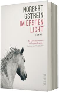 Das Buchcover zeigt auf hellem, fast weißem Grund den linken Profilkopf eines hellen Pferdes mit wehender Mähne, nach unten blickend. Oben rechts große serifenlose Autorenzeile „NORBERT GSTREIN“ in dunklem Grau, darunter der Titel „IM ERSTEN LICHT“ in größeren, rosa-roten Großbuchstaben und das Wort „ROMAN“ in kleinerer Schrift. Unten rechts eine schmale senkrechte Verlagsangabe, kein zusätzliches Logo.