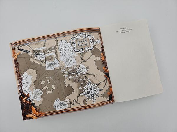 Außenansicht des Buches „Night of Shadows and Flames – Die Ewige Nacht“