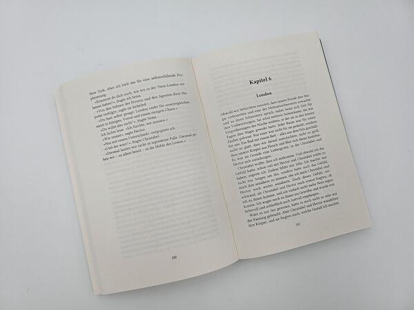 Außenansicht des Buches „Schlangen und Stein“