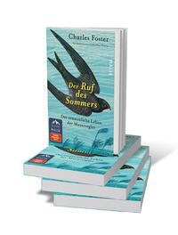 Bücherstapel des Buches „Der Ruf des Sommers“