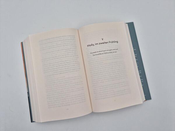 Außenansicht des Buches „Dämmerung“