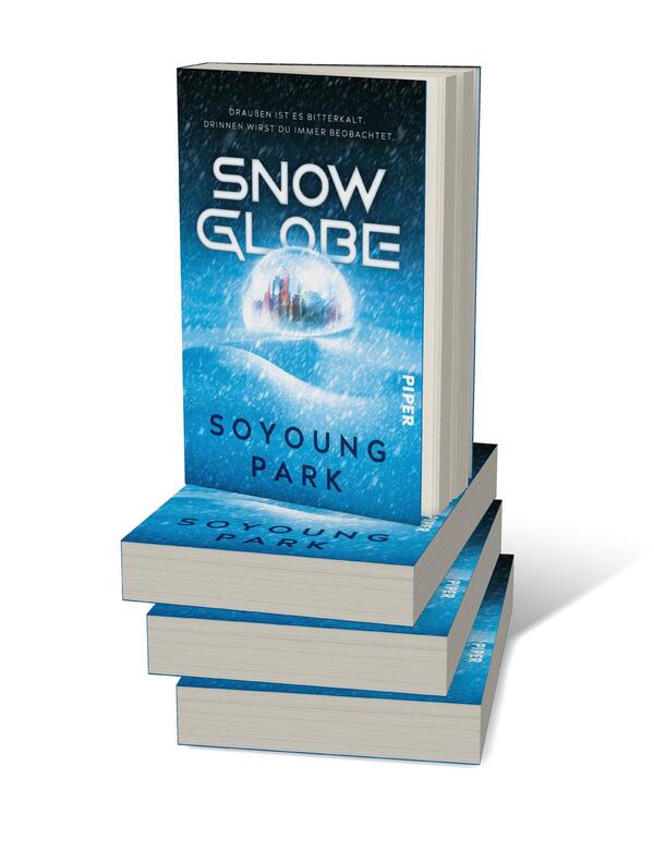 Bücherstapel des Buches „Snowglobe“