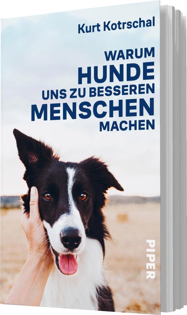 Das Buchcover zeigt einen Hund, der direkt in die Kamera schaut, während eine Hand ihn sanft berührt. Der Hund hat ein schwarz-weißes Fell. Der Hintergrund ist unscharf und zeigt eine helle Landschaft. Der Titel „WARUM HUNDE UNS ZU BESSEREN MENSCHEN MACHEN“ ist groß und in blauer Schrift ausgeführt, während der Autorname „Kurt Kotschal“ in kleinerer Schrift darüber steht. Das Cover vermittelt eine freundliche und einladende Atmosphäre.