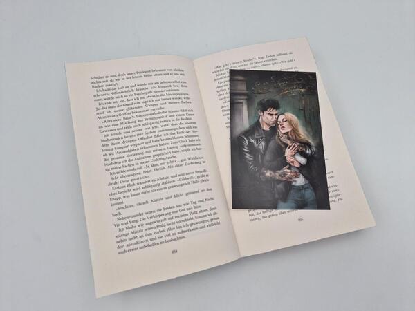 Außenansicht des Buches „The Lies we steal“