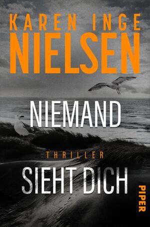 Niemand sieht dich (Grenzland 2)