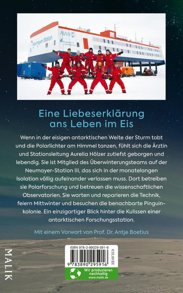Rückansicht des Buches „Polarschimmer“ 