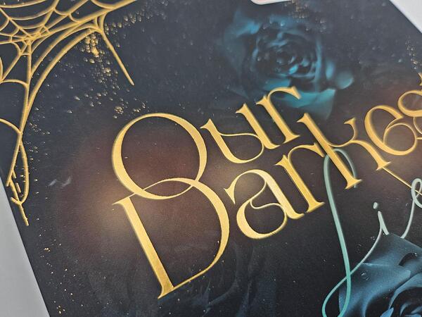 Außenansicht des Buches „Our darkest Lies“