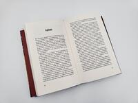 Innenansicht des Buches „Wie man ein Schmetterling wird“