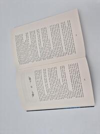 Außenansicht des Buches „Heart of Mischief“