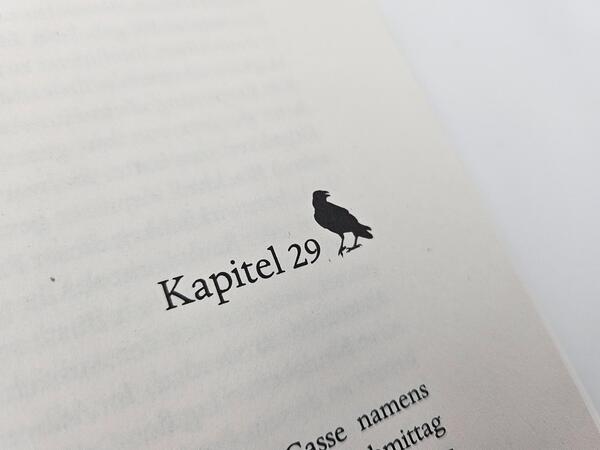 Innenansicht des Buches „Die Essenz des Bösen“