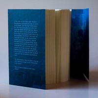 Innenansicht des Buches „Die Starfarer-Verschwörung“