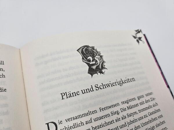 Außenansicht des Buches „Feenfluch – Dein Wunsch soll erfüllt werden ...“