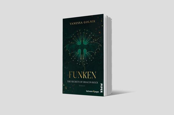 Außenansicht des Buches „Funken – The Secrets of Dracon Rock“