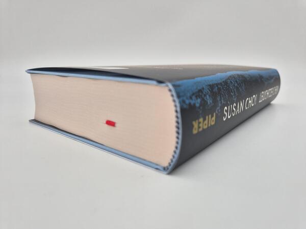 Außenansicht des Buches „Leuchtzeichen“
