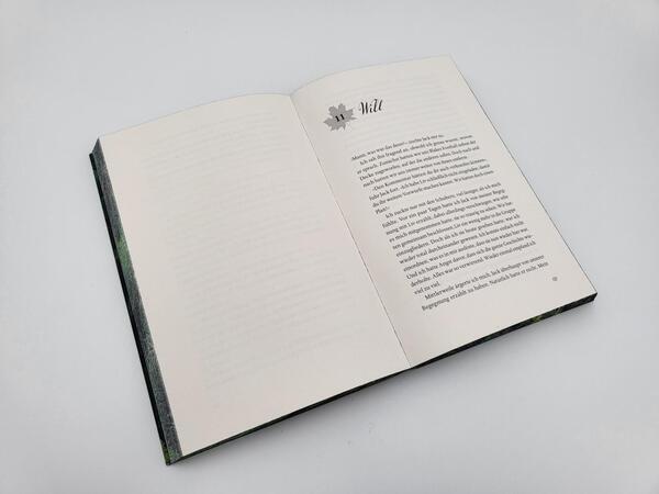 Innenansicht des Buches „When the Night Falls “
